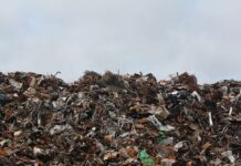 Czy można wyrzucać odpady bio w workach?