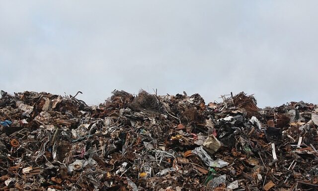 Czy można wyrzucać odpady bio w workach?